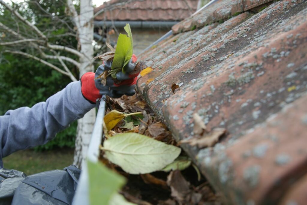 Clearing leaves in blocked gutters
